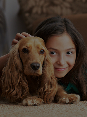 Girl laying on floor petting dog