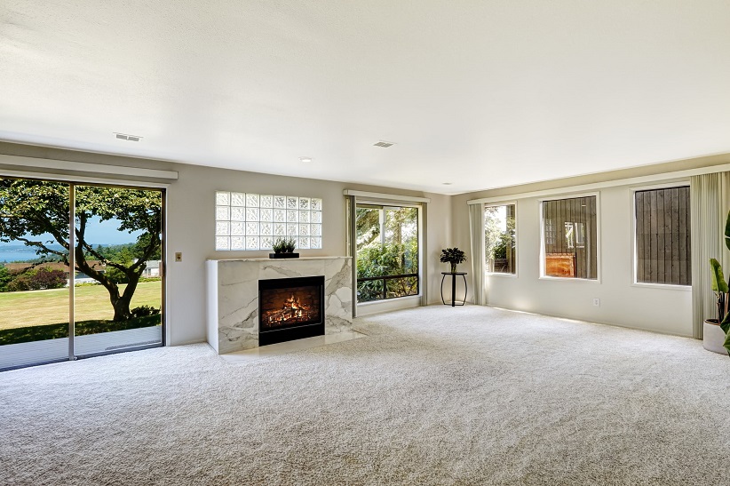 Living Room with Carpet Floors