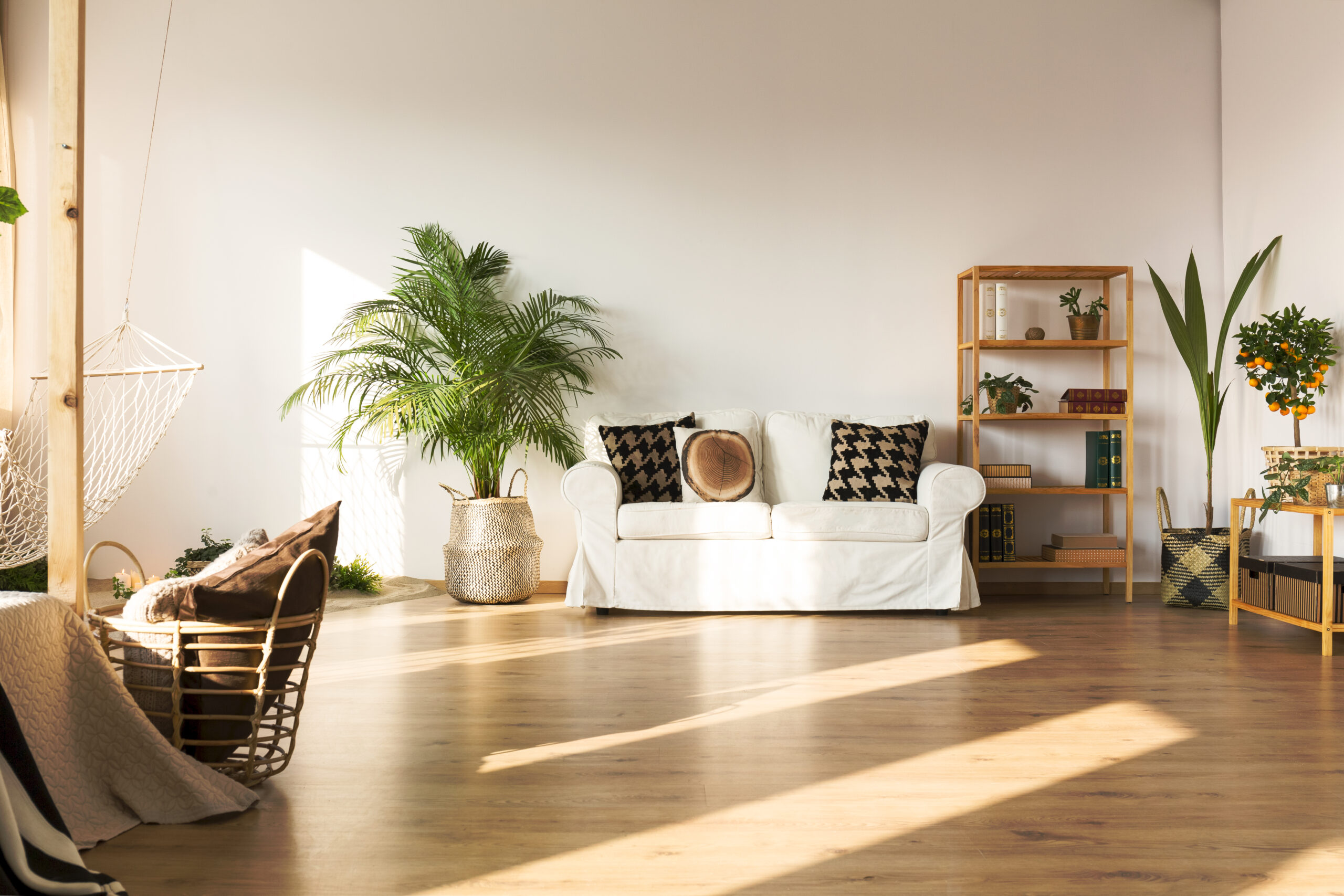 Open plan apartment with hammock, sofa, bookcase, plants, floor panels