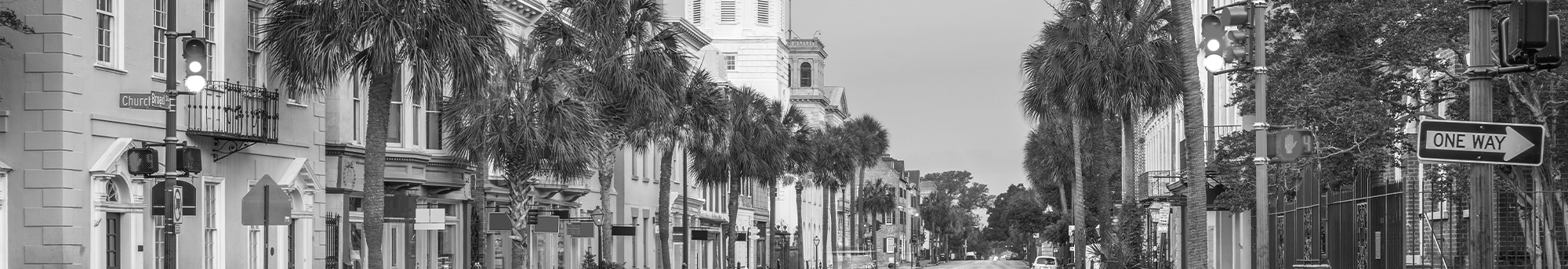 Charleston skyline