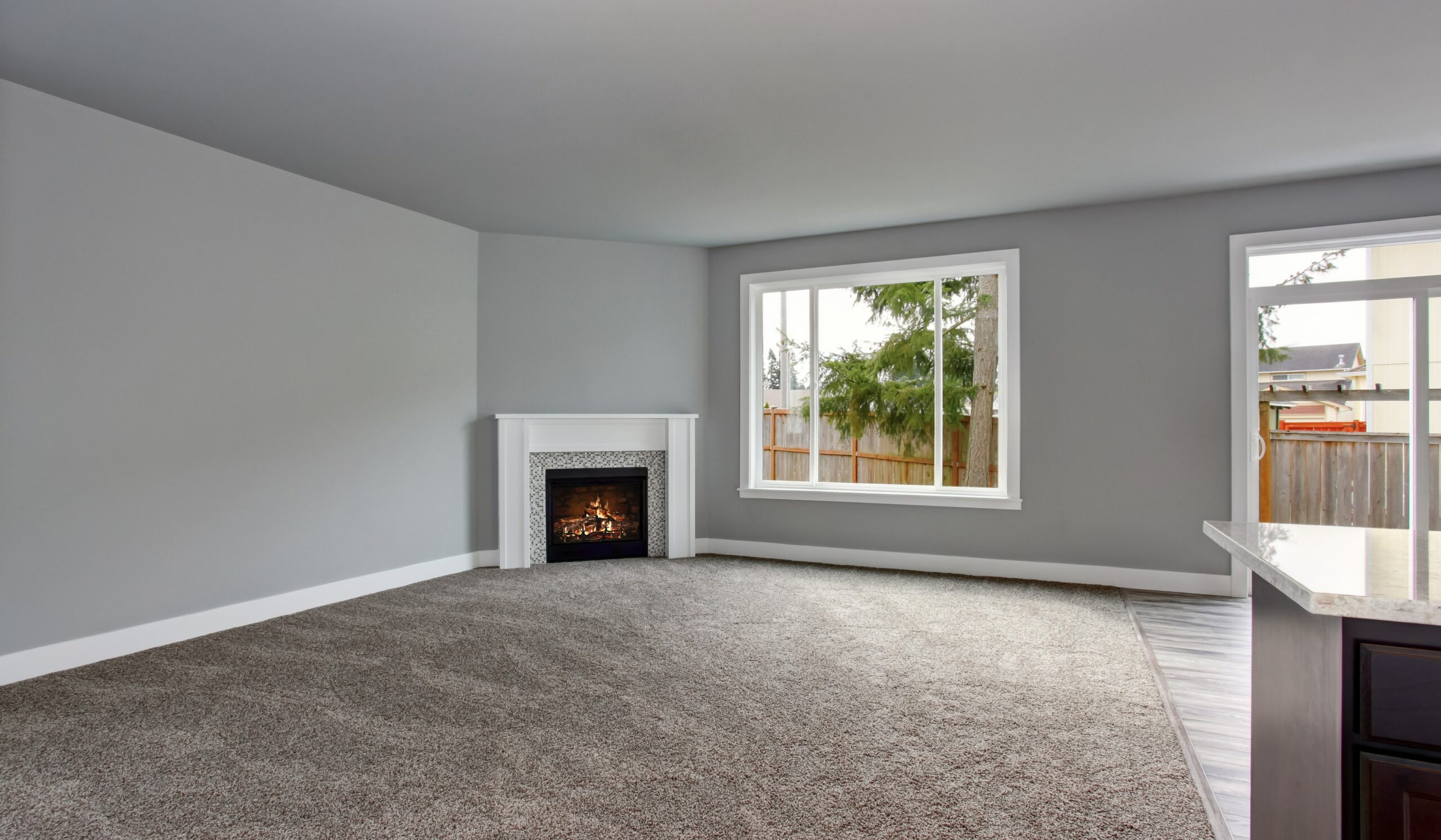 living room with fireplace and carpet flooring