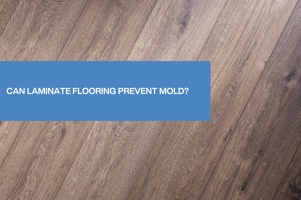 Can Laminate Flooring Prevent Mold Featured Banner