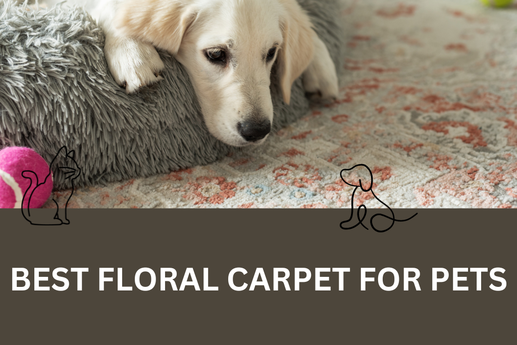 Best Floral Carpet For Pets (1)