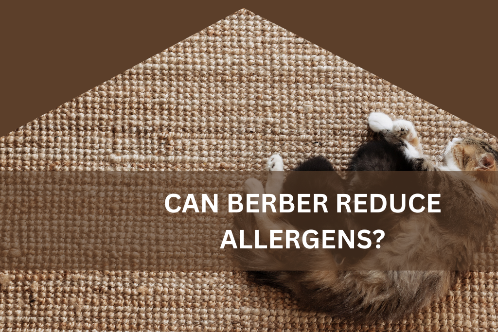 CAN BERBER REDUCE ALLERGENS (2)
