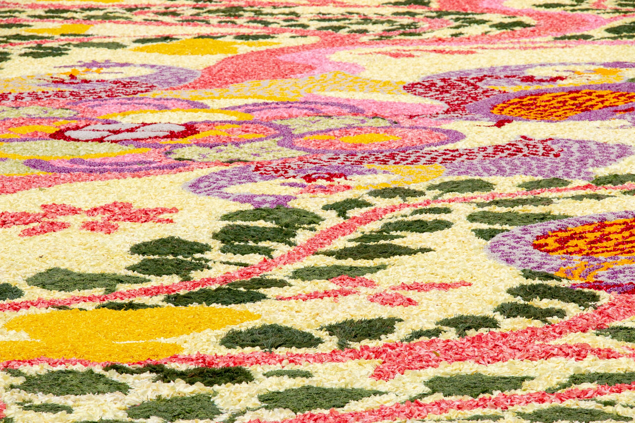 flower-decoration-on-the-floor-2023-11-27-05-31-13-utc