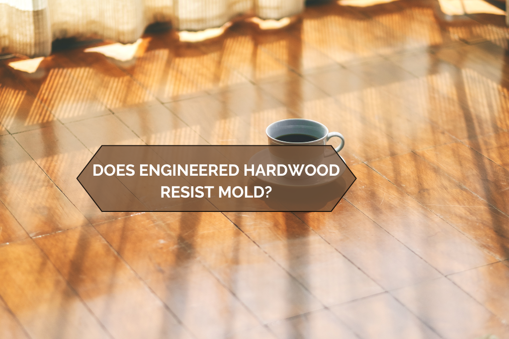 Engineered Hardwood Floors