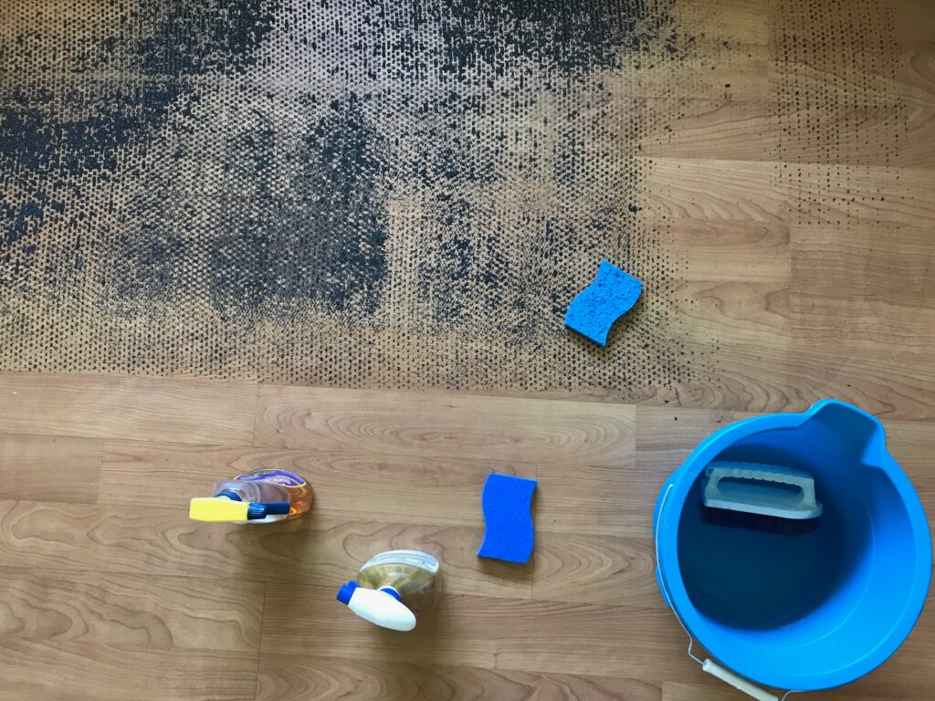 housework-chores-cleaning-a-dirty-floor-with-a-sc-2023-11-27-05-05-52-utc