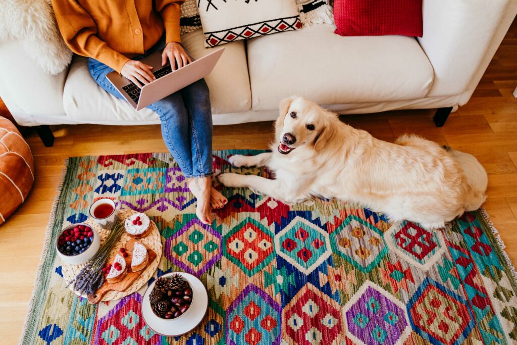 young woman working on laptop with carpet and dog